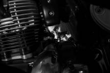 Martin VIZIBLE - Escale Création