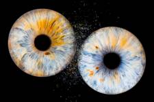 Laura RODRIGUES - OBJECTIF PHOTO