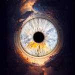 Laura RODRIGUES - OBJECTIF PHOTO