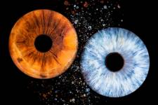 Laura RODRIGUES - OBJECTIF PHOTO