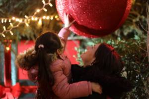 Laëtitia FUCHS - LYON EYE'S PHOTOGRAPHY