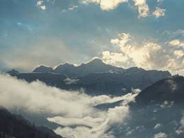 Edouard VASILIĆ - Edouard Vasilic