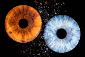 Laura RODRIGUES - OBJECTIF PHOTO